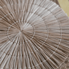 Boho Placemat Zeegras